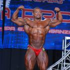 Ricardo  Correia - IFBB Wings of Strength Tampa  Pro 2016 - #1