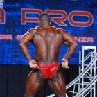 Ricardo  Correia - IFBB Wings of Strength Tampa  Pro 2016 - #1