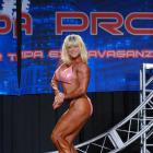 Beverly  DiRenzo - IFBB Wings of Strength Tampa  Pro 2016 - #1