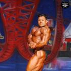 An  Nguyen - IFBB Europa Show of Champions Orlando 2014 - #1