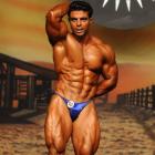 Tamer  El Shahat - IFBB Europa Super Show 2010 - #1