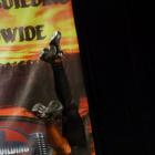Debbie  Sizemore - IFBB Wings of Strength Tampa  Pro 2015 - #1