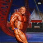 Daniel  Toth - IFBB Europa Show of Champions Orlando 2014 - #1