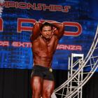 Omid  Safdari - IFBB Wings of Strength Tampa  Pro 2016 - #1