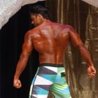 Steve  Mousharbash - IFBB Prestige Crystal Cup 2014 - #1