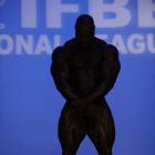 Toney  Freeman - IFBB New York Pro 2010 - #1