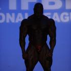 Toney  Freeman - IFBB New York Pro 2010 - #1