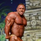 Daniel  Toth - IFBB Europa Super Show 2014 - #1