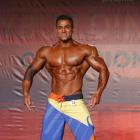 AJ  Shukoori - IFBB Wings of Strength Tampa  Pro 2014 - #1