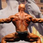 Mark   Antonek - IFBB Europa Show of Champions Orlando 2010 - #1