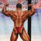 Roelly   Winklaar - IFBB Wings of Strength Tampa  Pro 2012 - #1