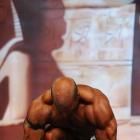 Joe  McRee - NPC Europa Super Show 2009 - #1