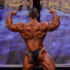 Guy  Cisternino - IFBB Wings of Strength Chicago Pro 2013 - #1