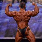 Guy  Cisternino - IFBB Wings of Strength Chicago Pro 2013 - #1