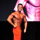 Chris  Gurunlian - IFBB Toronto Pro Supershow 2014 - #1