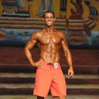 Brent  Harris - NPC Europa Super Show 2013 - #1