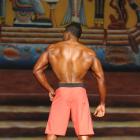 Greg  Johnson - NPC Europa Super Show 2013 - #1