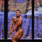 An  Nguyen - IFBB Wings of Strength Chicago Pro 2013 - #1