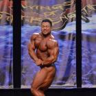 An  Nguyen - IFBB Wings of Strength Chicago Pro 2013 - #1