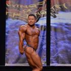 An  Nguyen - IFBB Wings of Strength Chicago Pro 2013 - #1