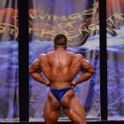 An  Nguyen - IFBB Wings of Strength Chicago Pro 2013 - #1