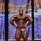 Essa  Obaid - IFBB Wings of Strength Chicago Pro 2013 - #1
