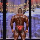 Essa  Obaid - IFBB Wings of Strength Chicago Pro 2013 - #1