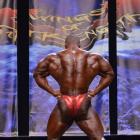 Essa  Obaid - IFBB Wings of Strength Chicago Pro 2013 - #1