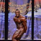 Essa  Obaid - IFBB Wings of Strength Chicago Pro 2013 - #1