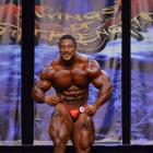 Roelly   Winklaar - IFBB Wings of Strength Chicago Pro 2013 - #1