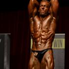 Marinus  Van Stolk - IFBB Australasia Championships 2013 - #1