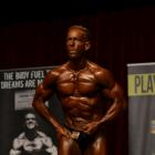 Marinus  Van Stolk - IFBB Australasia Championships 2013 - #1