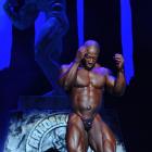 Shawn  Rhoden - IFBB Arnold Classic 2012 - #1