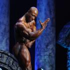 Shawn  Rhoden - IFBB Arnold Classic 2012 - #1