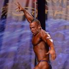 Guy  Cisternino - IFBB Wings of Strength Chicago Pro 2013 - #1