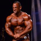 Guy  Cisternino - IFBB Wings of Strength Chicago Pro 2013 - #1