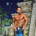 Arya  Saffaie - IFBB Europa Super Show 2014 - #1