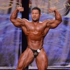 An  Nguyen - IFBB Wings of Strength Chicago Pro 2013 - #1