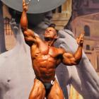 James    Llewellin - IFBB Europa Show of Champions Orlando 2010 - #1