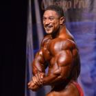 Roelly   Winklaar - IFBB Wings of Strength Chicago Pro 2013 - #1