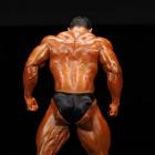 Tarek  Elsetouhi - IFBB Wings of Strength Tampa  Pro 2009 - #1