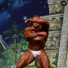 Daniel  Toth - IFBB Europa Super Show 2014 - #1