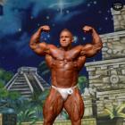 Daniel  Toth - IFBB Europa Super Show 2014 - #1