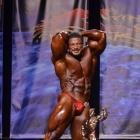 Roelly   Winklaar - IFBB Wings of Strength Chicago Pro 2013 - #1