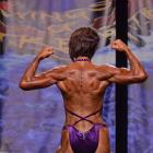 Sandy  Bein - NPC Tim Gardner Chicago Extravaganza 2013 - #1