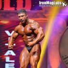 Vitaly  Fateev - IFBB Arnold Classic 2015 - #1