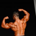 Jose Raul  Sanchez Reyes - IFBB New York Pro 2015 - #1