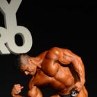 Jose Raul  Sanchez Reyes - IFBB New York Pro 2015 - #1