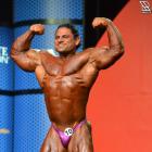 Dobromir   Delev - IFBB Olympia 2015 - #1