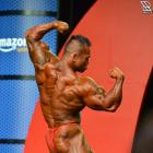 Hidetada  Yamagishi - IFBB Olympia 2015 - #1